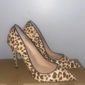 Steve Madden Daisie Leopard pumps.